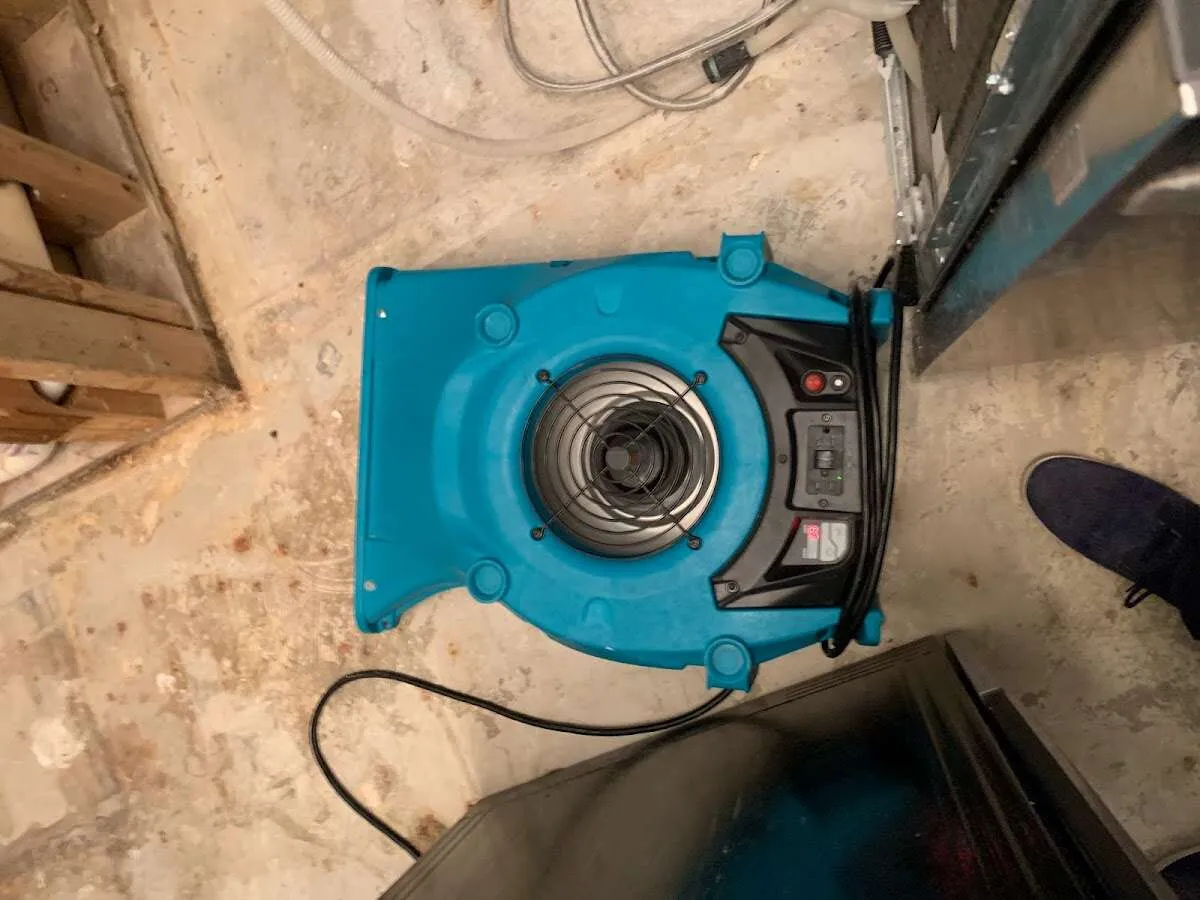 Air mover drying equipment for Mold Remediation & Removal in Wilson